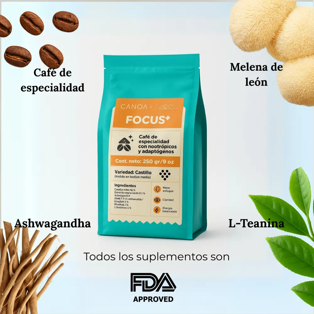 Ingredientes-FOCUS