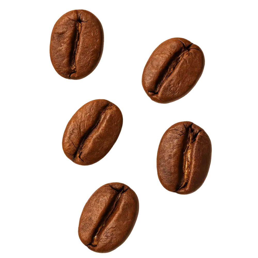 Café de especialidad